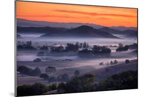Fiery Sunrise and Mellow Hills of Petaluma, Sonoma County-Vincent James-Mounted Premium Photographic Print