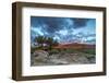 Fiery Sunrise Light, Ear Mountain, Rocky Mountain Front, Choteau, Montana, USA-Chuck Haney-Framed Photographic Print