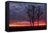 Fiery Sunrise Silhouettes, Maine-Vincent James-Framed Stretched Canvas