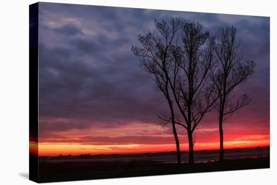 Fiery Sunrise Silhouettes, Maine-Vincent James-Stretched Canvas