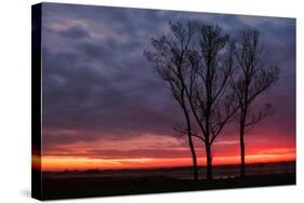 Fiery Sunrise Silhouettes, Maine-Vincent James-Stretched Canvas