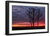 Fiery Sunrise Silhouettes, Maine-Vincent James-Framed Photographic Print