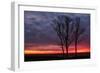 Fiery Sunrise Silhouettes, Maine-Vincent James-Framed Photographic Print