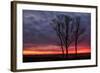 Fiery Sunrise Silhouettes, Maine-Vincent James-Framed Photographic Print