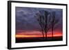 Fiery Sunrise Silhouettes, Maine-Vincent James-Framed Photographic Print