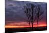Fiery Sunrise Silhouettes, Maine-Vincent James-Mounted Photographic Print