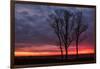 Fiery Sunrise Silhouettes, Maine-Vincent James-Framed Photographic Print