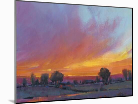 Fiery Sunset II-Tim O'toole-Mounted Art Print