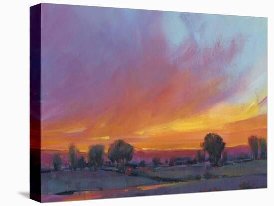 Fiery Sunset II-Tim O'toole-Stretched Canvas