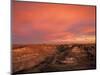 Fiery Sunset, Theodore Roosevelt National Park, North Dakota, USA-Chuck Haney-Mounted Photographic Print