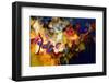 Fiery-Ursula Abresch-Framed Photographic Print