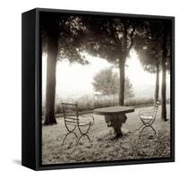 Fiesloe Giardini I-Alan Blaustein-Framed Stretched Canvas