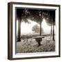 Fiesloe Giardini I-Alan Blaustein-Framed Photographic Print