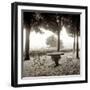 Fiesloe Giardini I-Alan Blaustein-Framed Photographic Print