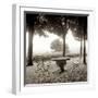 Fiesloe Giardini I-Alan Blaustein-Framed Photographic Print