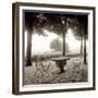 Fiesloe Giardini I-Alan Blaustein-Framed Photographic Print