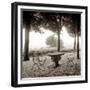 Fiesloe Giardini I-Alan Blaustein-Framed Photographic Print