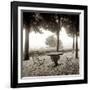 Fiesloe Giardini I-Alan Blaustein-Framed Photographic Print