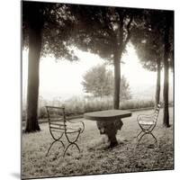 Fiesloe Giardini I-Alan Blaustein-Mounted Photographic Print