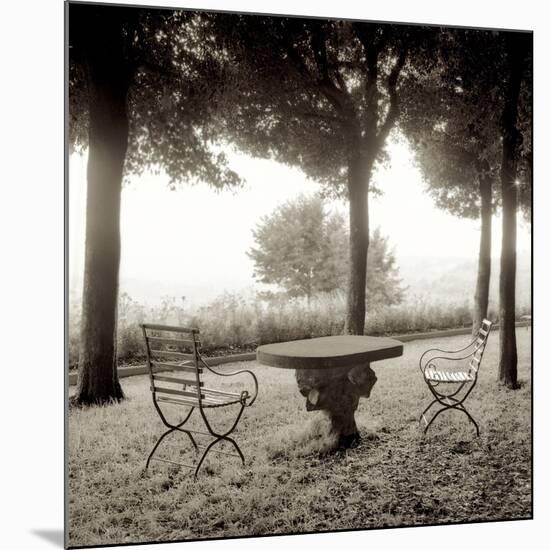 Fiesloe Giardini I-Alan Blaustein-Mounted Photographic Print