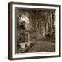 Fiesole Giardini II-Alan Blaustein-Framed Photographic Print