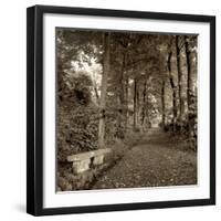 Fiesole Giardini II-Alan Blaustein-Framed Photographic Print