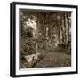 Fiesole Giardini II-Alan Blaustein-Framed Photographic Print