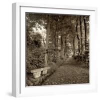 Fiesole Giardini II-Alan Blaustein-Framed Photographic Print