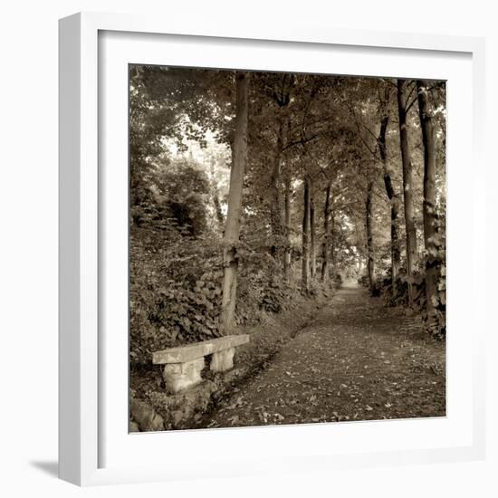 Fiesole Giardini II-Alan Blaustein-Framed Photographic Print