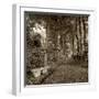 Fiesole Giardini II-Alan Blaustein-Framed Photographic Print