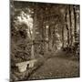 Fiesole Giardini II-Alan Blaustein-Mounted Photographic Print