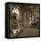 Fiesole Giardini II-Alan Blaustein-Framed Stretched Canvas
