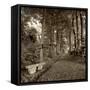 Fiesole Giardini II-Alan Blaustein-Framed Stretched Canvas