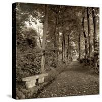 Fiesole Giardini II-Alan Blaustein-Stretched Canvas