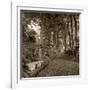 Fiesole Giardini II-Alan Blaustein-Framed Photographic Print