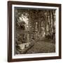 Fiesole Giardini II-Alan Blaustein-Framed Photographic Print