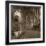 Fiesole Giardini II-Alan Blaustein-Framed Photographic Print