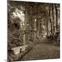 Fiesole Giardini II-Alan Blaustein-Mounted Photographic Print