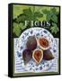 Fieus (Figs), 2014-Jennifer Abbott-Framed Stretched Canvas