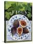 Fieus (Figs), 2014-Jennifer Abbott-Stretched Canvas