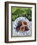 Fieus (Figs), 2014-Jennifer Abbott-Framed Giclee Print