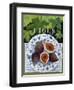 Fieus (Figs), 2014-Jennifer Abbott-Framed Giclee Print