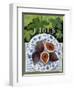 Fieus (Figs), 2014-Jennifer Abbott-Framed Giclee Print