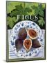 Fieus (Figs), 2014-Jennifer Abbott-Mounted Giclee Print