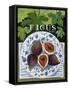 Fieus (Figs), 2014-Jennifer Abbott-Framed Stretched Canvas