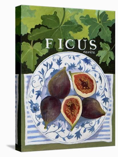Fieus (Figs), 2014-Jennifer Abbott-Stretched Canvas