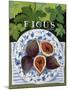 Fieus (Figs), 2014-Jennifer Abbott-Mounted Giclee Print