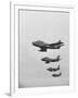 Fifth Air Force in Korea, F-86 Jets in Flight-Michael Rougier-Framed Photographic Print