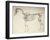 Fifth Anatomical Table, from 'The Anatomy of the Horse'-George Stubbs-Framed Giclee Print