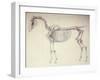 Fifth Anatomical Table, from 'The Anatomy of the Horse'-George Stubbs-Framed Giclee Print